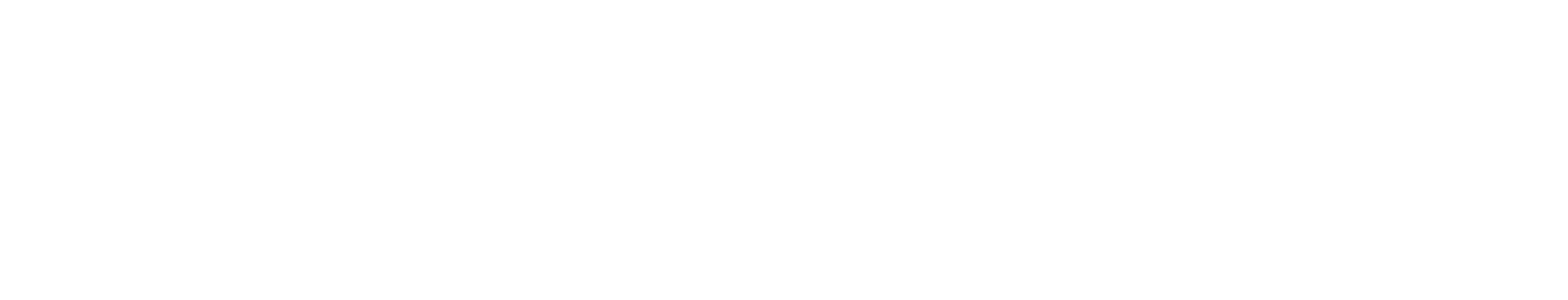 Netgutu logo